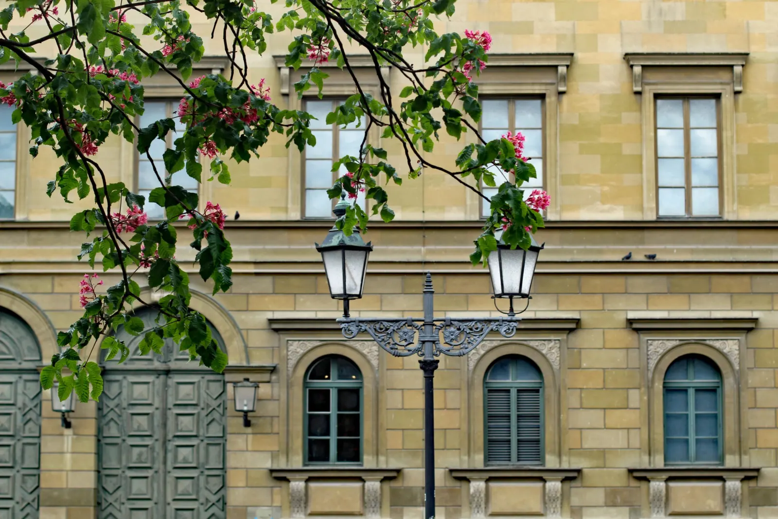 Façade classique en pierre avec lampadaire en fer forgé et branches de marronnier en fleurs
